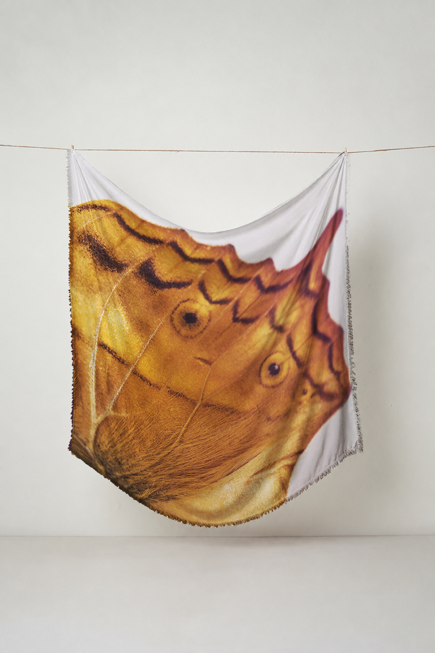 Stola ala di farfalla con sfumature arancioni
