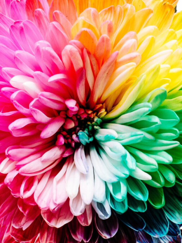 armocromia che colori scegliere per foulard fantasia da personalizzare