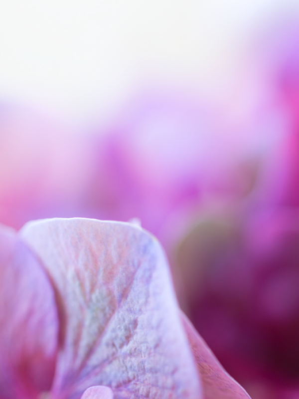 foulard con stampa di fiori personalizzata
