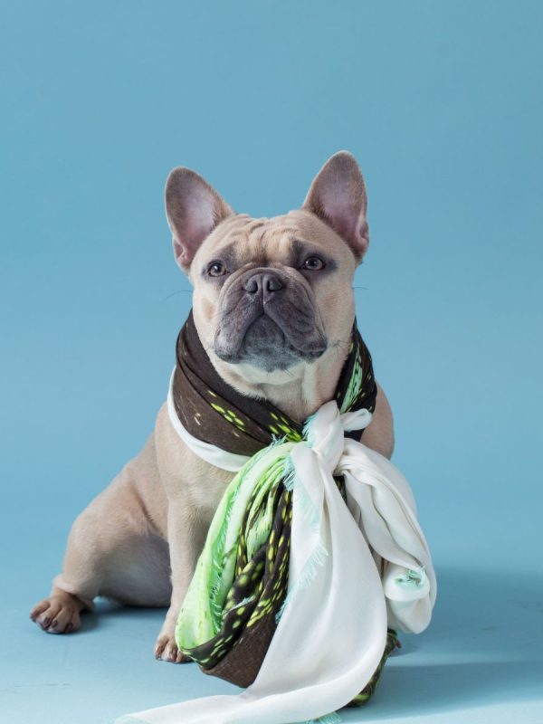 foulard-verde-foglie-accessorio-moda-italiano