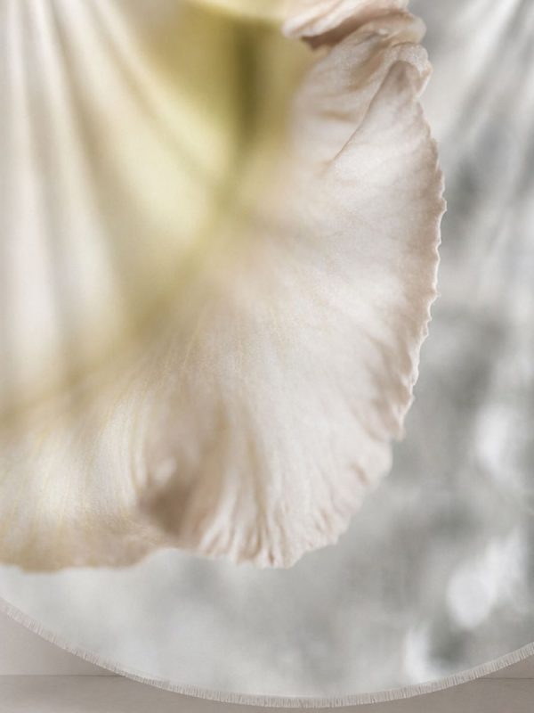 sfumature-oro-argento-accessorio-elegante